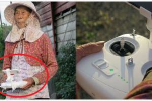 這個87歲阿嬤用「這個東西」來趕走麻雀！根本現代科技去耕作傳統農業呢