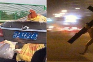 30張「看完會很傻眼重新認識這個世界」的詭怪奇葩照片。