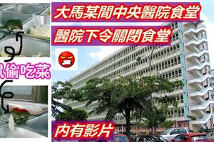 大馬某間中央醫院食堂驚現「老鼠偷吃菜視頻瘋傳醫院下令關閉食堂