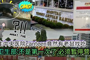 吧生中央醫院canteen竟然有老鼠找吃！