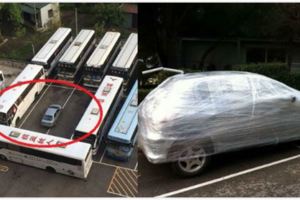 10招「遇到三寶亂停車」絕對能派上的狠狠教訓他們「直呼下次不敢」的報復方法。