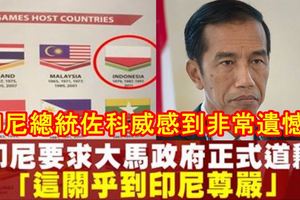 印尼總統佐科威對此事感到非常遺憾！要求大馬政府正式的道歉。「這關乎到印尼尊嚴。」