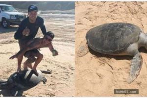 白目屁孩自以為「踩陸龜衝浪」很好玩還PO上臉書炫耀，結果沒過多久就面臨了會後悔到死的下場…