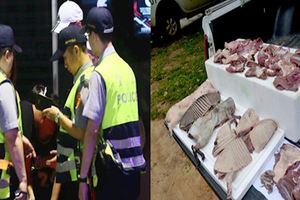 警察攔下一輛可疑「運肉車」發現大量不明肉塊，看清屍體後馬上集體衝去醫院救命了！