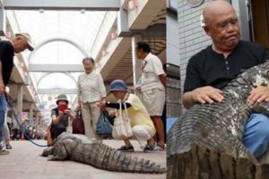 他從小養鱷魚不離不棄，結果34年後竟發生這種事，讓主人忍不住哀號「從沒想過牠會變這樣」！