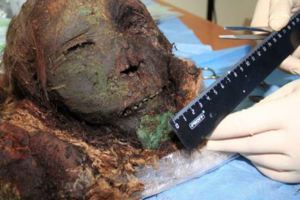 考古學家挖出900年「北極公主」，臉孔竟然跟活人一樣…她身邊的發現讓人超多問號！