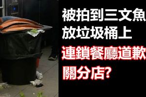 被拍到三文魚放垃圾桶上連鎖餐廳道歉關分店