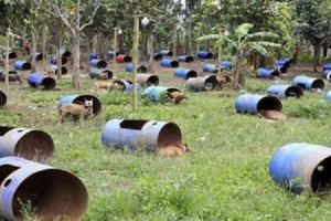 情侶外出到森林裡遊玩，看到一大片「油漆彩罐」，靠近後發現驚人一幕......她們決定立即報警！