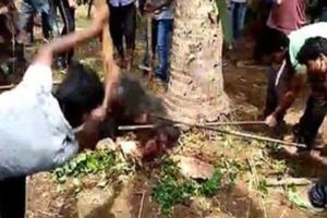 妻子遭野熊攻擊人夫趕救援雙雙喪命