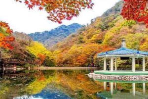 韓國絕不能錯過的賞楓美景，秋天來了就是要讓妳的IG版面塞滿艷麗楓紅色！