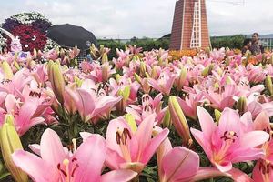 【賞花之旅】花都開好了，看花博順遊中社花市！