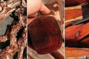 木材種類大全、木材種類有哪些，常用名貴木材介紹！