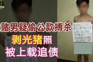 2019-02-20:吉隆坡，爛賭男疑偷公款搏殺-剝光豬照被上載追債