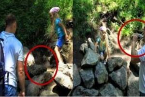 女孩爬到危險的岩石上，德國爸爸的舉動，讓台灣家長們豎起大拇指，網友：這就是「教育」的不同