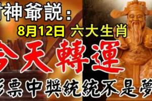 六大生肖彩票中獎統統不是夢，就在8月12日轉運了