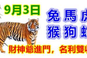 9月3日生肖運勢_兔、馬、虎大吉