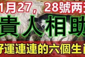 11月27，28號兩天貴人相助，好運連連的六個生肖