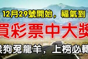 12月29號開始福氣到，買彩票有望中大獎的生肖