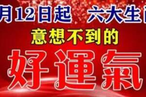 2月12日，六大生肖有意想不到的好運氣