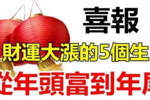 （喜報）2023年財運大漲的五個生肖，從年頭富到年尾