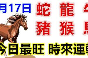 2月17日生肖運勢_蛇、龍、牛大吉