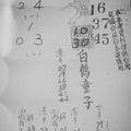 1月23號~香港參考用~白鶴童子