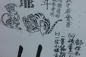 12月15號~香港參考~虎爺