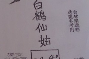 2月13號~香港參考用~白鶴仙姑