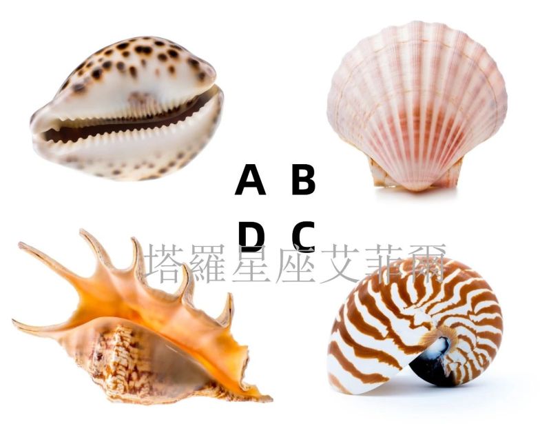 1658049715511-5bdffc9fd0d24e4882848ed988e925e3-800x615.jpg