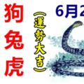 6月21日，生肖豬、狗、羊、兔、蛇、虎！運勢大吉！