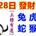 6月28日生肖運勢！生肖兔、虎、馬、蛇、猴、狗！發財日！