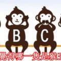 〔心理測驗〕4個猴子，你覺得哪一隻是猴王？瞬間本性展露無遺，真的太準了！！