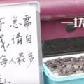 他們在中國街頭測試「一箱硬幣有需要自取」，結果讓人大吃一驚！