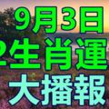 九月三日十二生肖運勢大播報