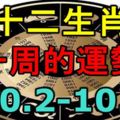 「鄭博士」十二生肖一周的運勢！（10.2-10.8）