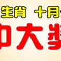 這些生肖，10月10日開始，最會中大獎，錢包滿滿