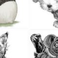 心理測試：四個動物裡面選一個你最喜歡的，測試你的忍耐度！