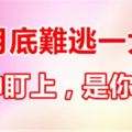 11月底天降橫財多，12生肖誰被財神盯上，難逃一大獎！