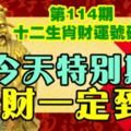 第114期十二生肖財運號碼。今天特別期，橫財一定到手！