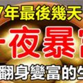 2017年最後幾天，最容易一夜暴富的生肖，有你嗎？