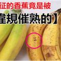 有這特徵的香蕉竟是「違規催熟」的，教你三招立馬分辨！再便宜也不要買！