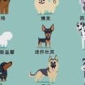 圖解129隻世界名犬圖鑑-遇到狗狗再也不用發愁尷尬了