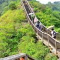 【路線】12條不用早起的登山路線