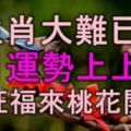 3生肖大難已過，7月運勢上上簽，財旺福來桃花開，喜事絡繹不絕