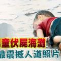 圖片攝於2015年9月2日。敘男童伏屍海灘，獲選最震撼人道照片
