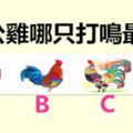 4隻公雞，哪只打鳴最亮？測你在7月有沒有好事發生？