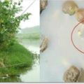 男子去野外釣魚，卻發現水位突然下降，準備轉身離開卻發現奇怪閃光，拿出來一看大呼賺到了！