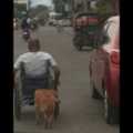 不捨主人手痠！忠犬緊跟輪椅旁用頭幫身障男推輪椅
