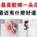 心理測試：選一朵你喜歡的花，測出你近期有什麼好運來臨！
