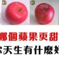 心理測試：哪個蘋果更甜？測你天生有什麼好命！